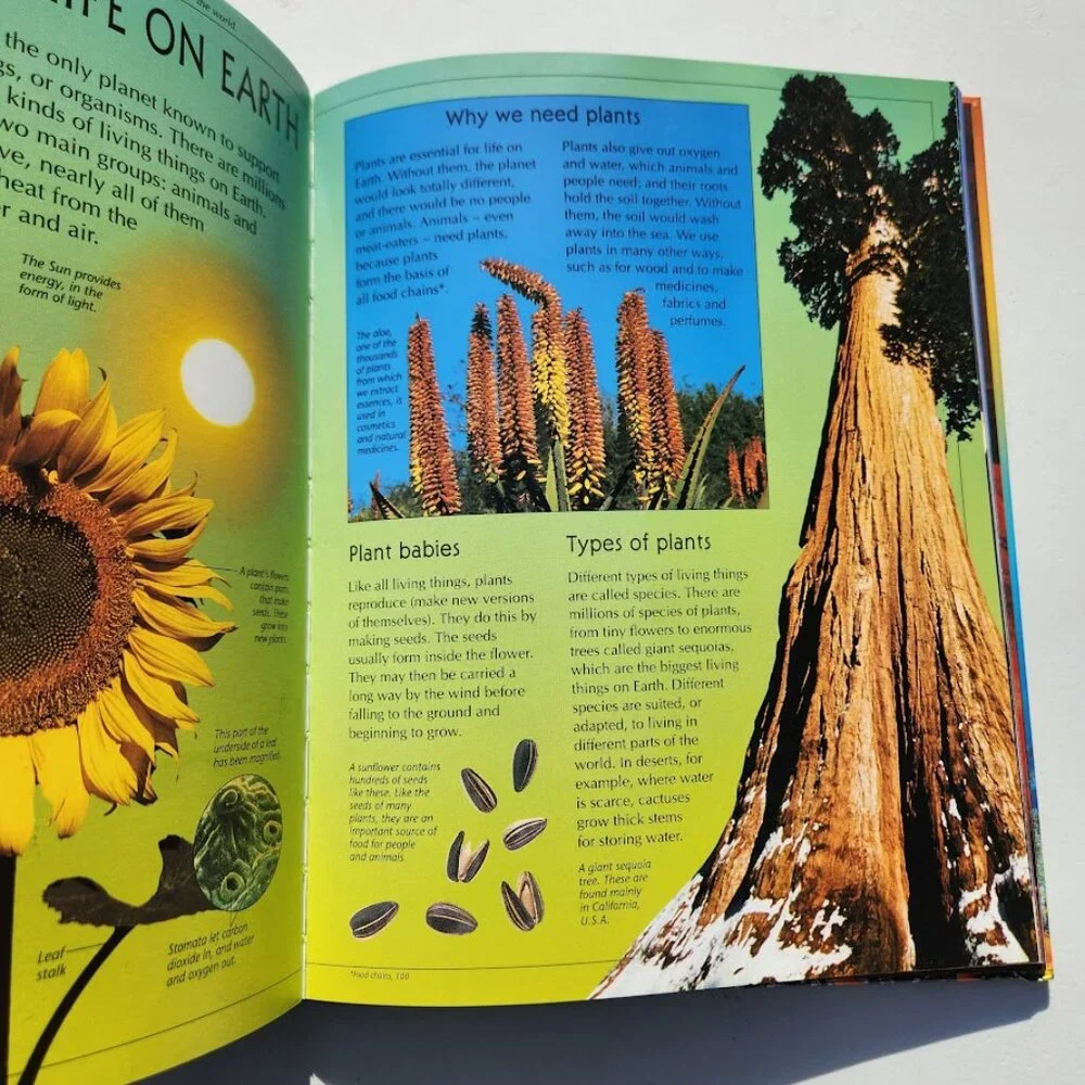 The Usborne Internet-Linked Book Encyclopedia of Planet Earth Science Homeschool